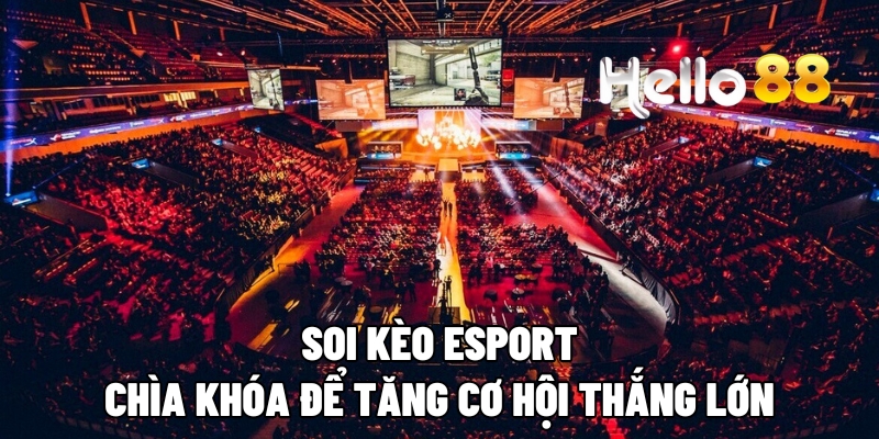 soi keo esport hello88