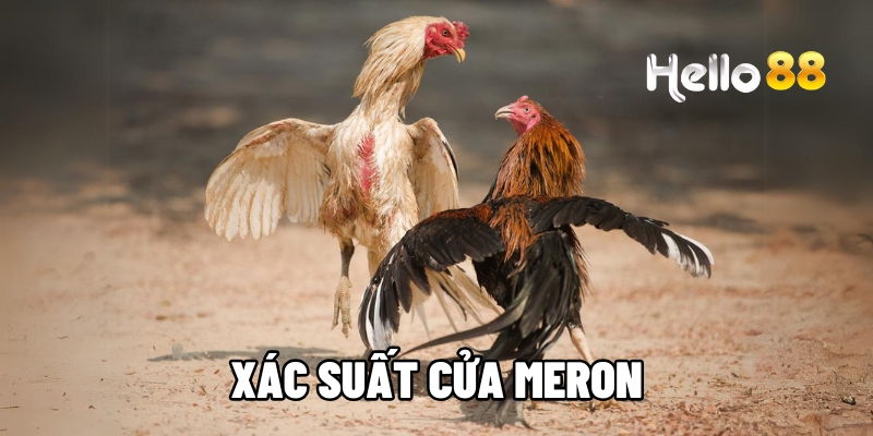 xac suat cua meron hello88 1